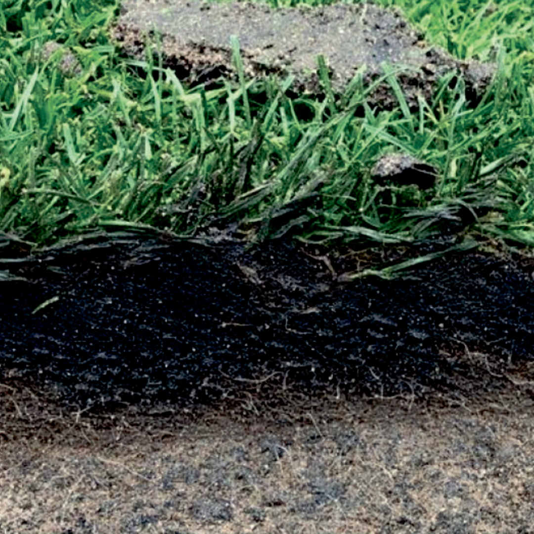 TourTurf® Thatch-Less® OXT Oxygen Turf  22-0-0 + 7% CaO